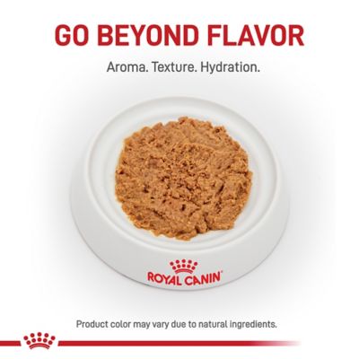 Image showing  Mother & Babycat Queen Ultra Soft Mousse in Sauce Wet Cat Food, 5.1 oz. Can