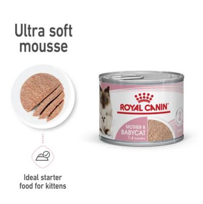 Image showing  Mother & Babycat Queen Ultra Soft Mousse in Sauce Wet Cat Food, 5.1 oz. Can