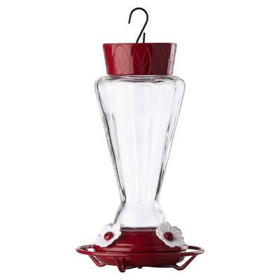 More Birds Royal Hummingbird Feeder, 28 oz. Capacity