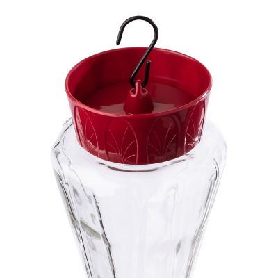 Image showing  28 oz. Royal Hummingbird Feeder