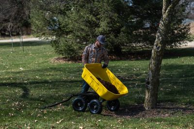 Image showing 7 th Gorilla Carts 8 cu. ft. 1,200 lb. Capacity Steel Dump Cart