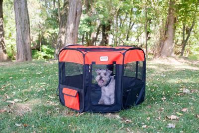 Image showing 5 th Armarkat Indoor/Outdoor Portable Pet Play Pen, Multiple Sizes and Colors