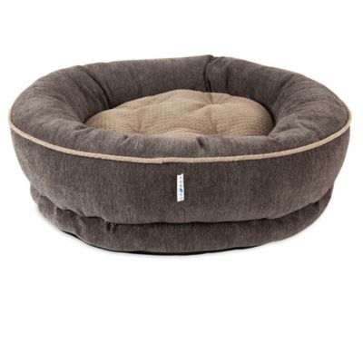 boy dog beds