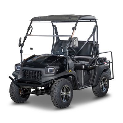 Bighorn Homestead 200 2-Speed Gas Golf Cart/UTV