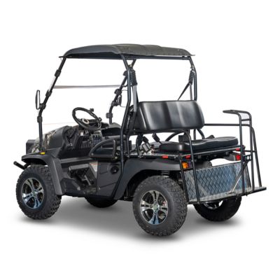 Image showing 2 th Bighorn Homestead 200 2-Speed Gas Cart/Side by Side UTV/ATV, 4 Seater