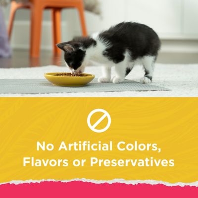 Image showing  Naturals Kitten Food, 13 lb.