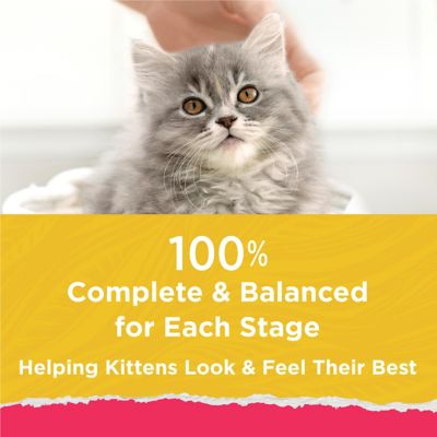 Image showing 6 th Purina Kitten Chow Naturals Kitten Food, 13 lb.