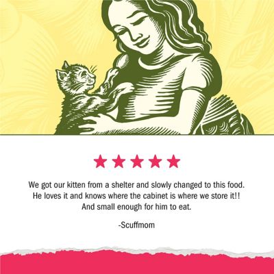 Image showing 8 th Purina Kitten Chow Naturals Kitten Food, 13 lb.