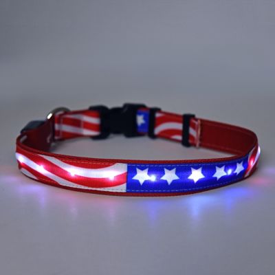 Yellow Dog Design Americana LED Dog Collar