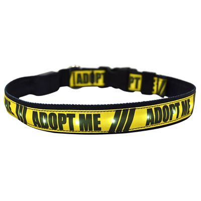 Yellow Dog Design Adopt Me LED Dog Collar