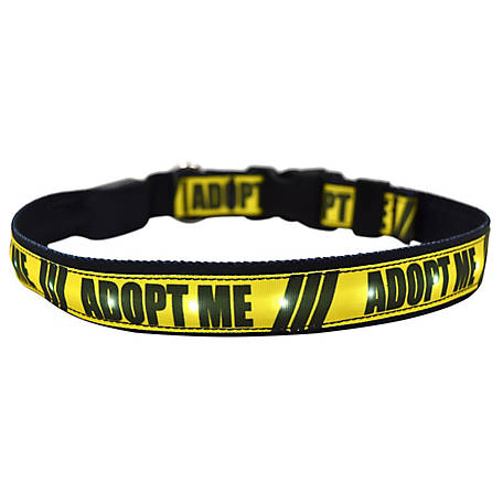 Adopt Me Led Dog Collar, How Much Does It Cost To Make A Bear Skin Rug In Adopt Me