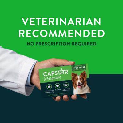 Image showing 5 th Capstar Flea Control Tablets for Dogs 25 lb. and Up, 6 ct.