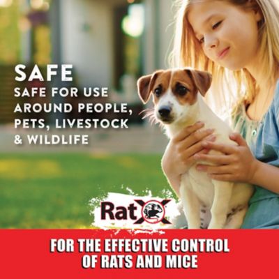 Image showing 6 th RatX 12 oz. Non-Toxic Rodent Killer Throw Packs