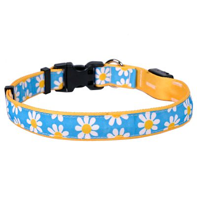 Daisy print hot sale dog collar