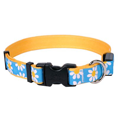 Yellow Dog Design Blue Daisy Dog Collar 