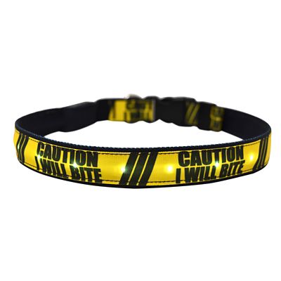 Yellow Dog Design I Will Bite LED Dog Collar