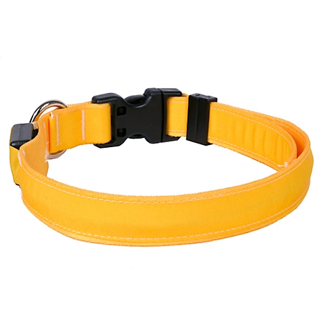 Yellow Dog Design Solid LED Dog Collar, Golden Rod