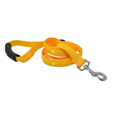 Yellow Dog Design Solid Goldenrod LED Dog Lead