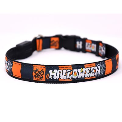 Yellow Dog Design Happy Halloween LED Dog Collar