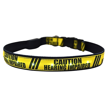 Yellow Dog Design Hearing Impaired LED Dog Collar