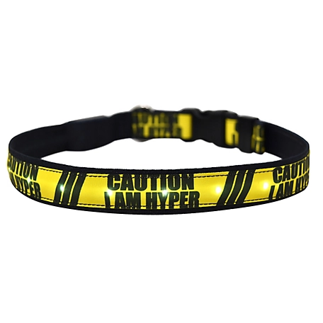 Yellow Dog Design I Am Hyper LED Dog Collar