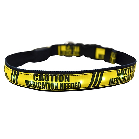 Yellow Dog Design Medication Needed LED Dog Collar