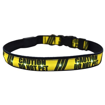 yellow puppy collar