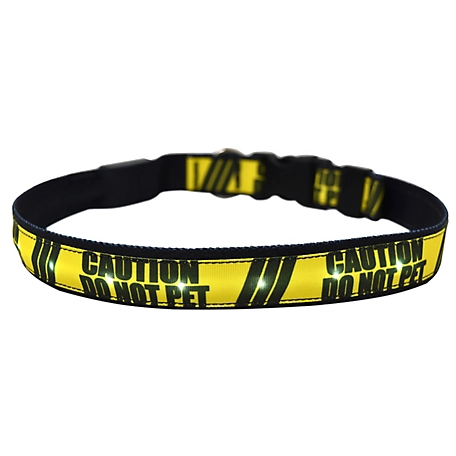 Yellow Dog Design Do Not Pet LED Dog Collar
