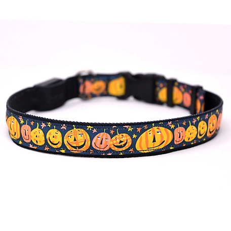 Yellow Dog Design Pumpkin Party LED Dog Collar