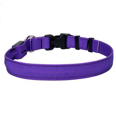 purple led dog collar