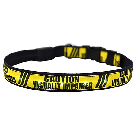 Yellow Dog Design Visually Impaired LED Dog Collar