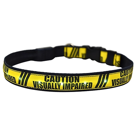 Yellow Dog Design Visually Impaired LED Dog Collar
