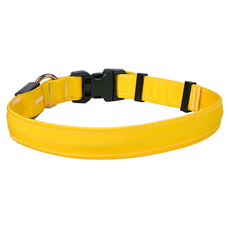 Yellow Dog Design Solid LED Dog Collar