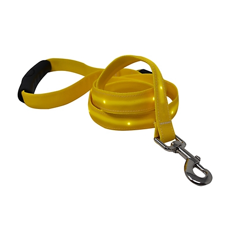 Yellow Dog Design Solid LED Dog Lead