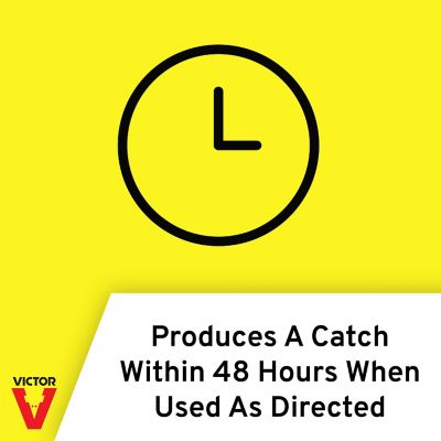 Image showing  The Black Box Gopher Trap