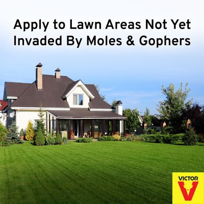 Image showing  Mole & Gopher Repellent, 4 lb., M7001-1