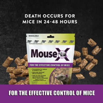 Image showing  1 lb. Non-Toxic Rat and Mouse Killer Bag
