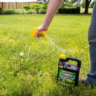 Image showing  1 gal. Weed Stop