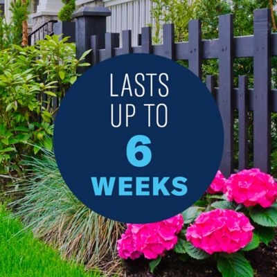 Image showing  4 lb. All-in-1 Rose and Flower Care Granules