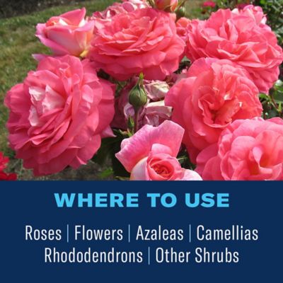 Image showing  4 lb. All-in-1 Rose and Flower Care Granules