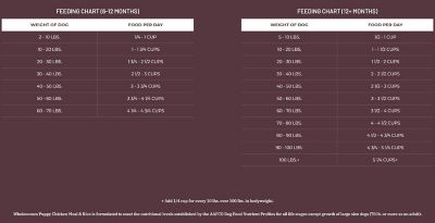 Image showing  Puppy Chicken Meal and Rice Recipe Dry Dog Food, 16.5 lb. Bag