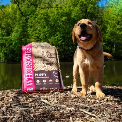 Image showing  Puppy Chicken Meal and Rice Recipe Dry Dog Food, 16.5 lb. Bag