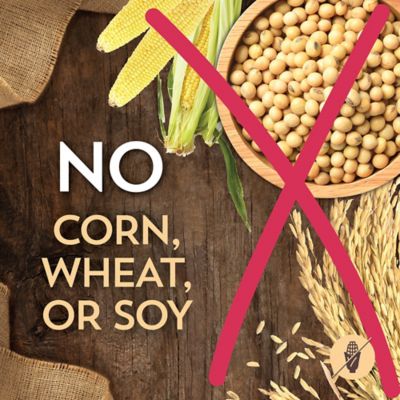 Image showing 6 th Wholesomes Puppy Chicken Meal and Rice Recipe Dry Dog Food, 16.5 lb. Bag