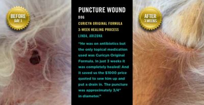 Image showing  Original Formula Pet Wound and Skin Care Treatment for All Animals, 8 oz.