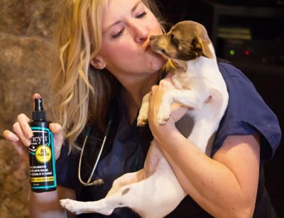 Image showing  Original Formula Pet Wound and Skin Care Treatment for All Animals, 8 oz.