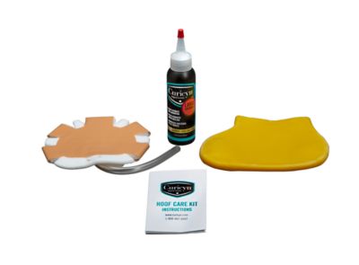 Image showing  Hoof Care Kit