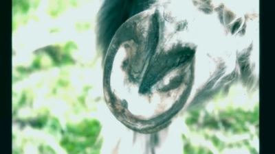 Image showing  Hoof Care Kit