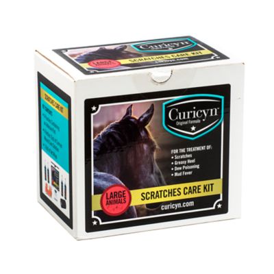 image of a Horse First Aid Kits