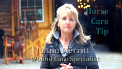 Image showing  Bodyguard Fly, Flea, Tick and Insect Repellent for Dogs, 24 oz.