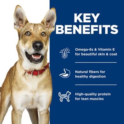 Image showing  Adult Chicken and Barley and Beef and Barley Recipe Wet Dog Food Variety Pack, 13 oz., Pack of 12 Cans